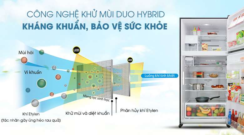 Tủ lạnh Toshiba Inverter 555 lít GR-AG58VA GG  - Khử mùi, kháng khuẩn cao bởi công nghệ Duo Hybrid