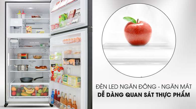 Tủ lạnh Toshiba Inverter 555 lít GR-AG58VA GG - đèn led chiếu sáng trong ngăn đông ngăn mát để quan sát rõ thực phẩm